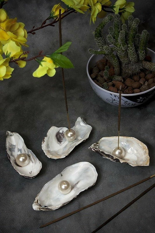 Oyster Incense Holder